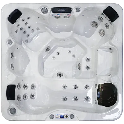 Avalon EC-849L hot tubs for sale in Garden Grove