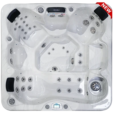 Avalon-X EC-849LX hot tubs for sale in Garden Grove